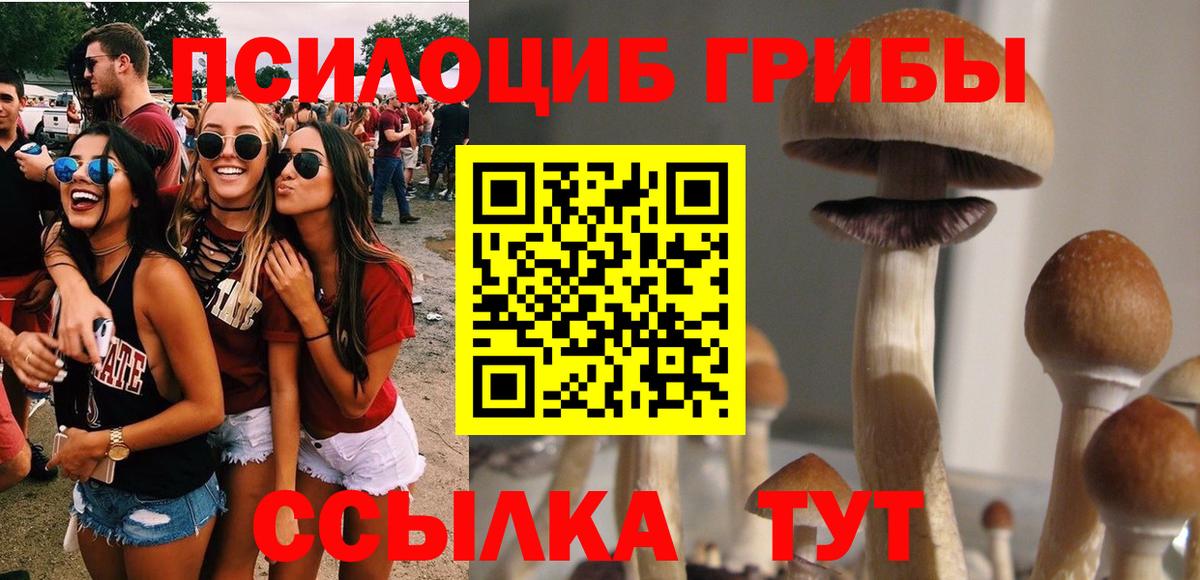 Тельмана  Галлюциногенные грибы MAGIC MUSHROOMS  Вход с VPN  Псилоцибиновые грибы Psilocybe 